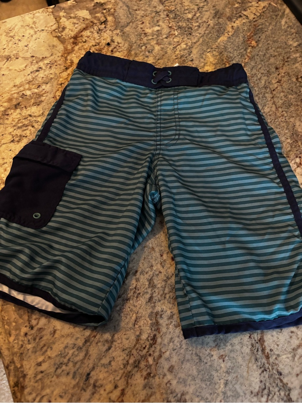 Boys Blue Striped Swim Trunks
